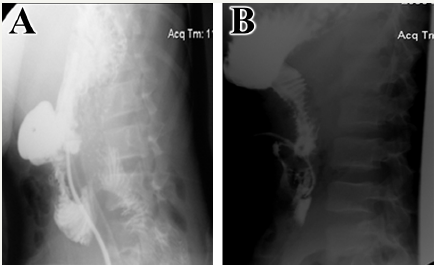 Click here to view Large image 1