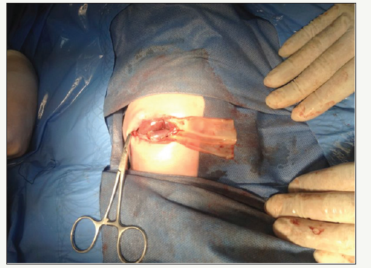 Click here to view Large image 1