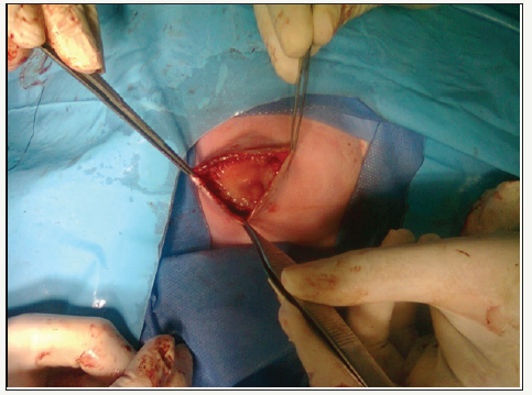 Click here to view Large image 2