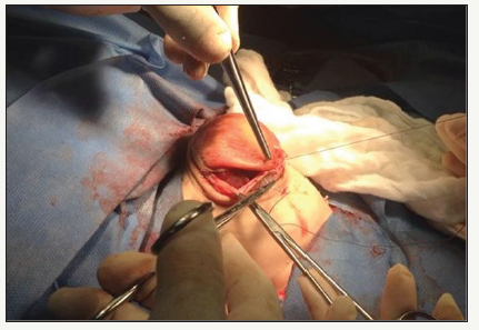 Click here to view Large image 3