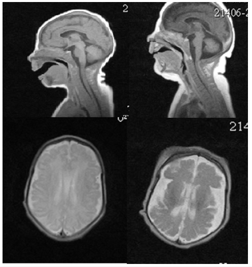 Click here to view Large image 4