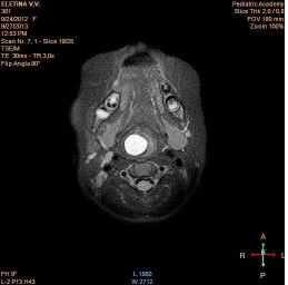 Click here to view Large image 3