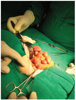 Click here to view Large image 1