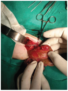 Click here to view Large image 2