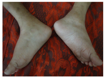 Click here to view Large image 7