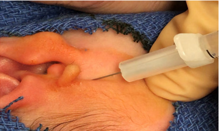 Click here to view Large image 3