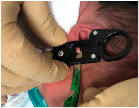 Click here to view Large image 5