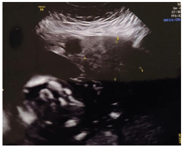 Click here to view Large image 1