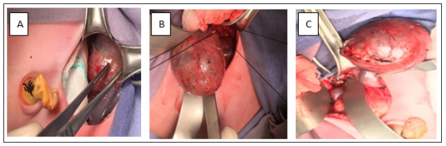 Click here to view Large image 3