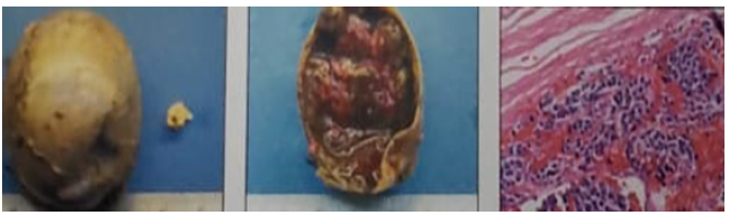 Click here to view Large image 4