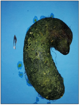 Click here to view Large image 4