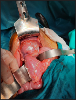 Click here to view Large image 2