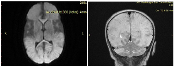 Click here to view Large image 1