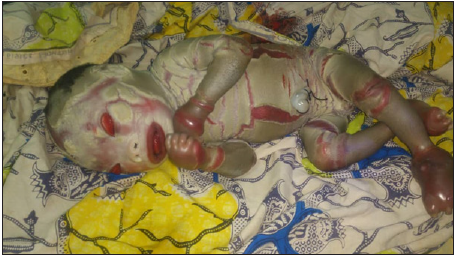 Click here to view Large image 1