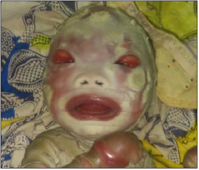 Click here to view Large image 2