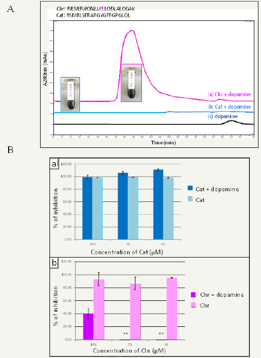 Click here to view Large image 1