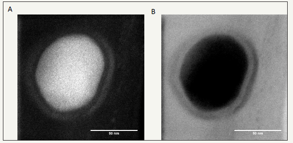 Click here to view Large image 4