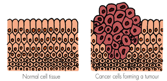 Click here to view Large image 1