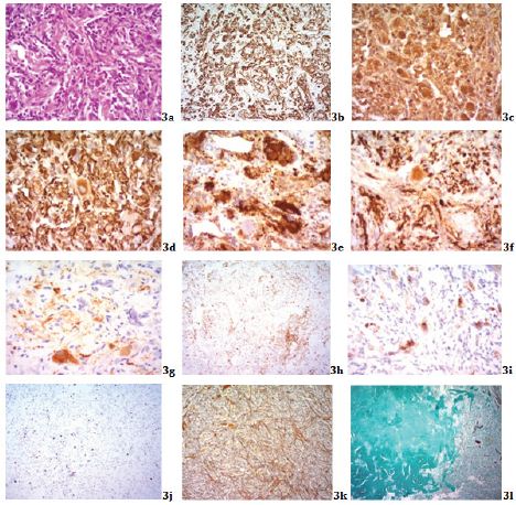 Click here to view Large Figure 3