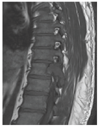 Click here to view Large Figure 1