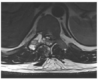 Click here to view Large Figure 3