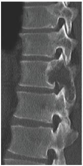 Click here to view Large Figure 6