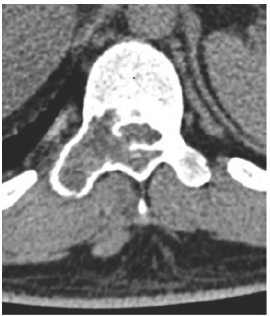 Click here to view Large Figure 7