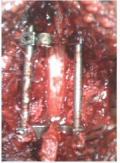 Click here to view Large Figure 9