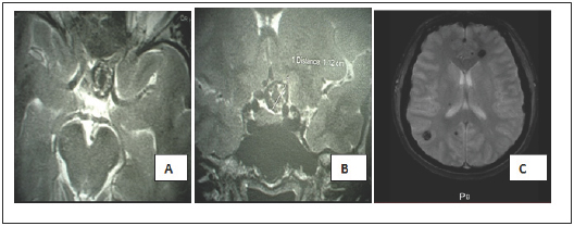 Click here to view Large Figure 1