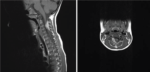 Click here to view Large Figure 1