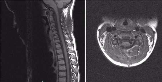 Click here to view Large Figure 2