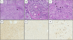 Click here to view Large Figure 2