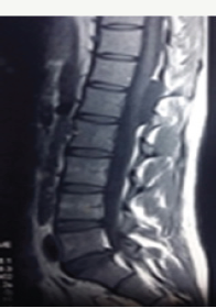 Click here to view Large Figure 1