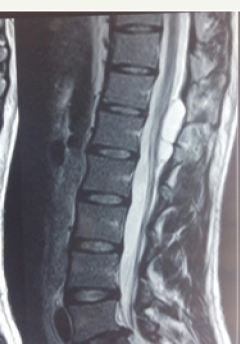 Click here to view Large Figure 1b