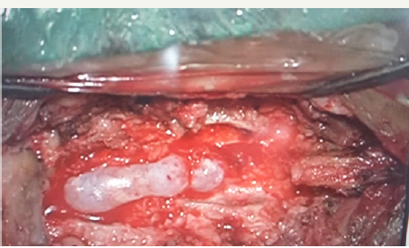 Click here to view Large Figure 3