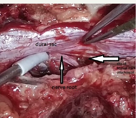 Click here to view Large Figure 4b