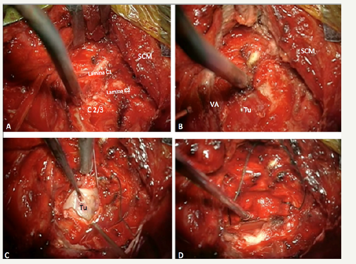 Click here to view Large image 3