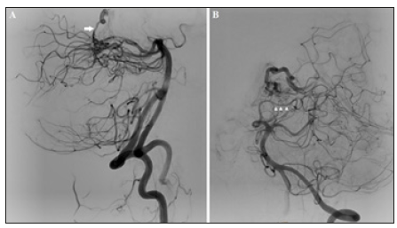 Click here to view Large image 6