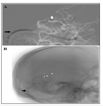 Click here to view Large image 7