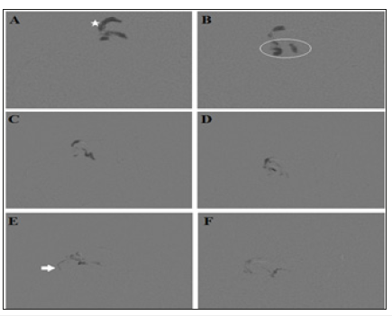 Click here to view Large image 8