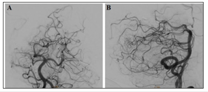 Click here to view Large image 9