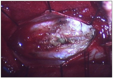 Click here to view Large image 4