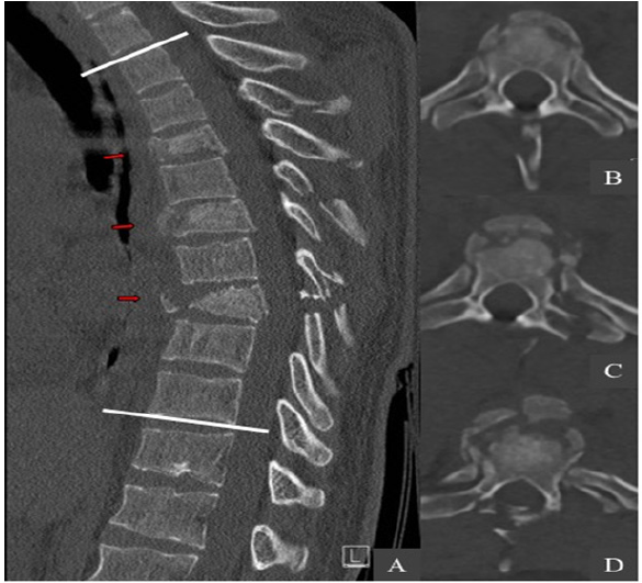 Click here to view Large image 1