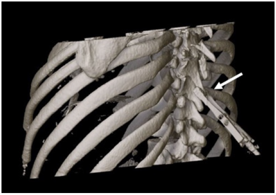 Click here to view Large image 3