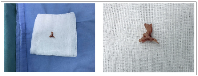 Click here to view Large image 4