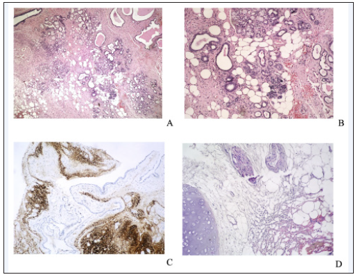 Click here to view Large image 5