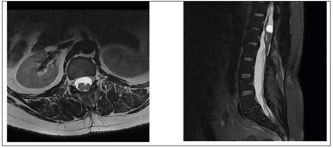 Click here to view Large image 6