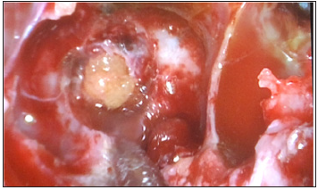 Click here to view Large image 3