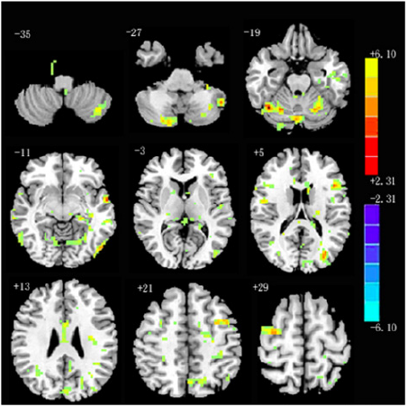 Click here to view Large image 1