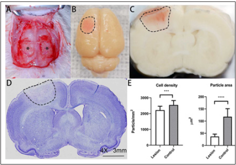 Click here to view Large image 1